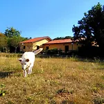 Radovic Gospodarstwo agroturystyczne Duino-Aurisina