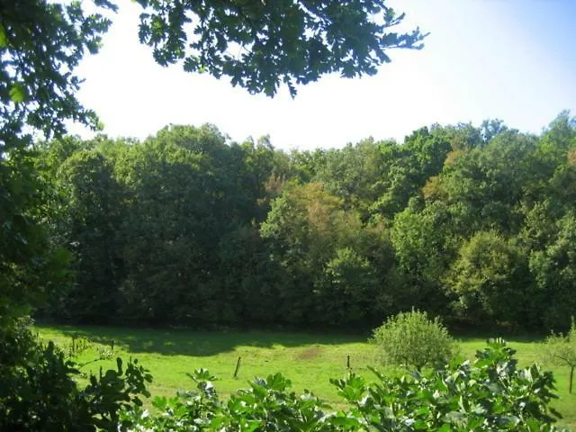 Radovic Farmház Aurisina